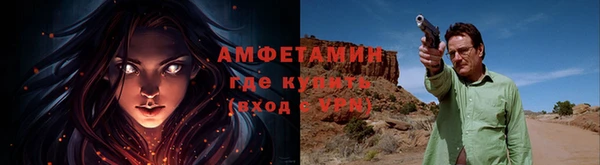 сатива Кулебаки